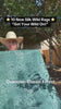 forest green paisley silk wild rags - Cowtown Classic Forest shown out in the sunshine - double sided print